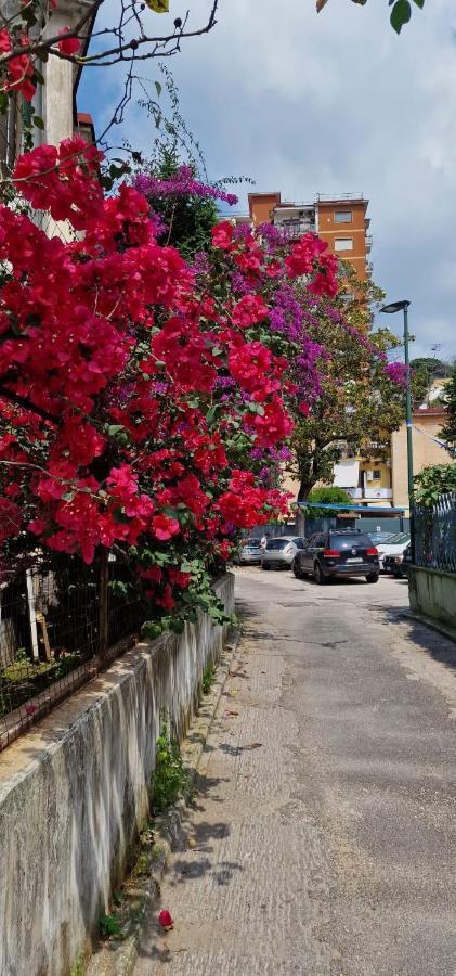 B&B Ciruzzo Naples Exterior photo